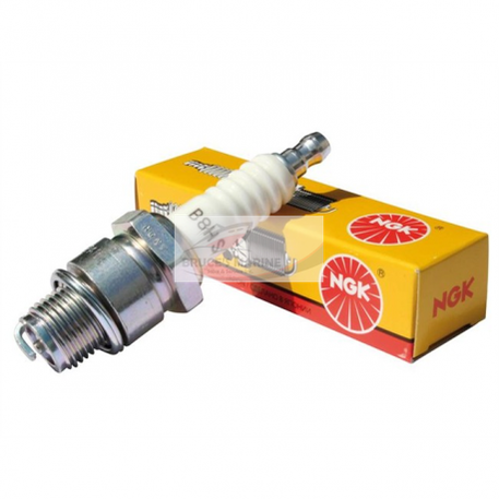 B8HS 5510 Ngk Spark Plug P/N 509570