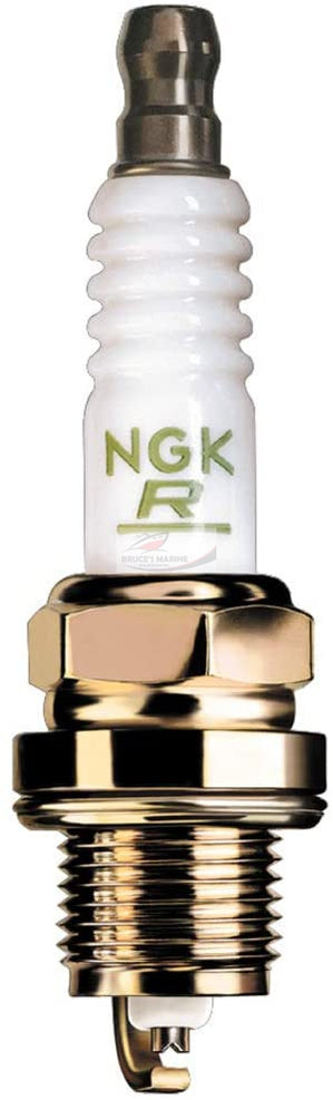 BR6FS Ngk Spark Plug P/N 509573