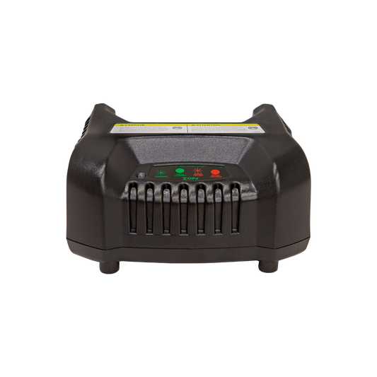 ION® BATTERY CHARGER (GEN 1 & GEN 3)